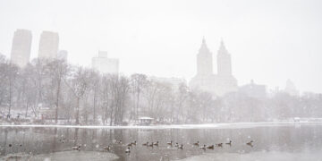 Al menos cinco personas muertas en el peor temporal de nieve en décadas en EE.UU.