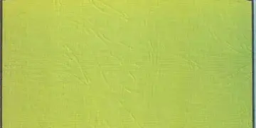 Trujillo en sus novelas. Isidoro Requena / Por Pedro Frailán