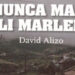 Nunca Más Lili Marleen: la gran novela venezolana. David Alizo (1941-2008) / Por Ramón Rivas