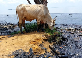 Pescadores confían en volver a lanzar sus redes en el Lago de Maracaibo