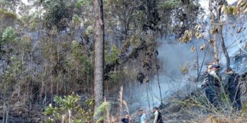 Tres muertos al caer una avioneta en el cerro El Volcán en el estado Miranda