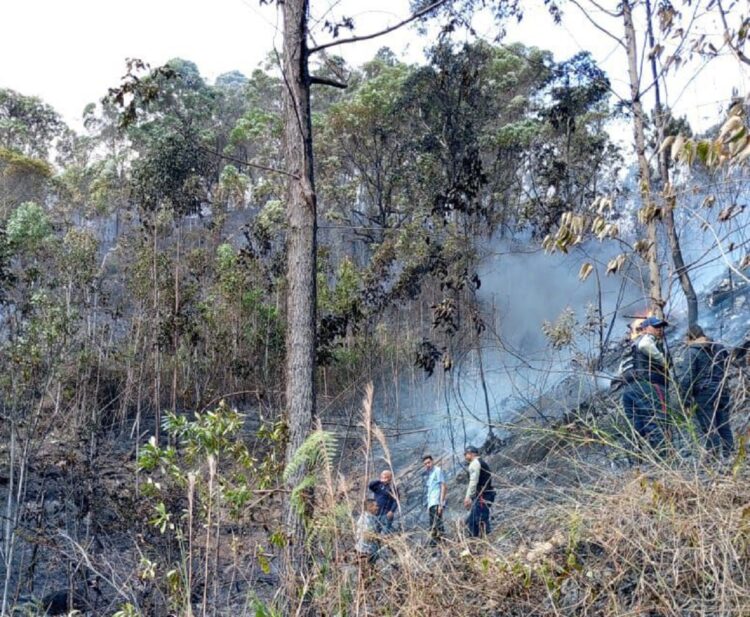 La avioneta que se estrelló en El Volcán despegó de la Base Aérea Generalísimo Francisco de Miranda | Foto @davidglockvzla