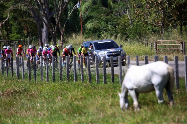 Deportes/ Tachirense Arlex Méndez se lleva las palmas y Araujo sostiene el liderato