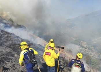 Equipos Bomberiles de Mérida sin descanso ante incendios forestales