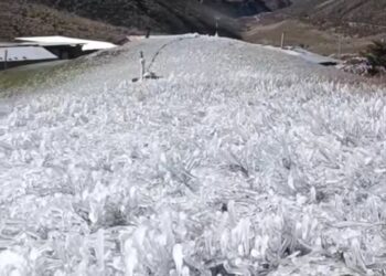 Llegaron las heladas de enero 2025 al páramo merideño