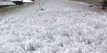 Llegaron las heladas de enero 2025 al páramo merideño