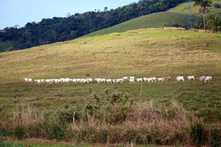 Vuelta al Táchira: Gabriel cabalgó en solitario y Jhonny se aferra en la general