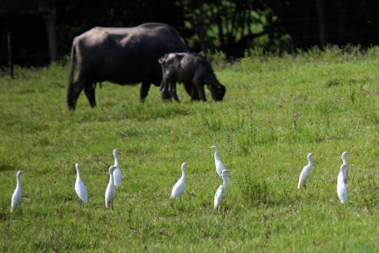 Vuelta al Táchira: Gabriel cabalgó en solitario y Jhonny se aferra en la general