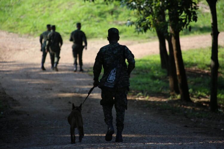 Especial DLA / Reportero gráfico sobre conflicto armado  colombiano: “he visto mucha gente llorar asustada”