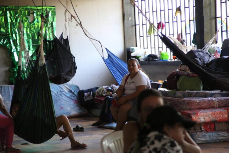 Especial DLA / Reportero gráfico sobre conflicto armado  colombiano: “he visto mucha gente llorar asustada”