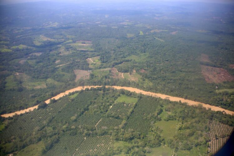 Especial DLA / Reportero gráfico sobre conflicto armado  colombiano: “he visto mucha gente llorar asustada”