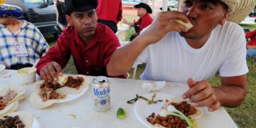 Identifican las neuronas encargadas de dar la orden de dejar de comer