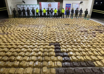 Incautan en Colombia cuatro toneladas de marihuana, el mayor alijo de los últimos 5 años