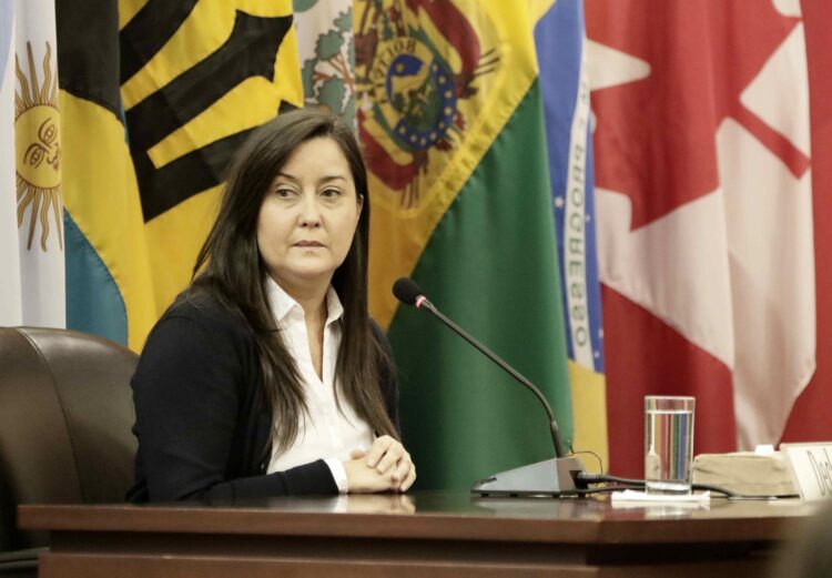 Foto de archivo de la activista venezolana Rocío San Miguel . EFE/Jeffrey Arguedas