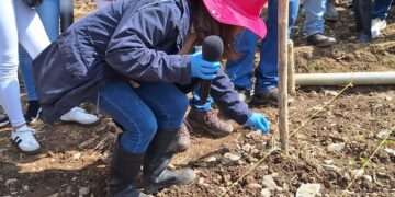 Mérida potencia la producción de semillas de alto valor genético