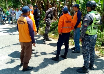 Falleció septuagenario arrollado en Campo Elías