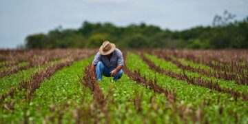 ZEEs en la Región de los Andes  | Por: Isaías Márquez