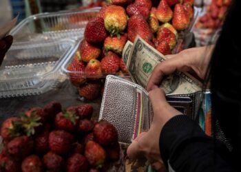 ¿Cómo enfrentar la brecha entre el dólar paralelo y el oficial?