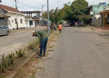 Mantenimiento permanente de ornato en calles de Sabana de Mendoza