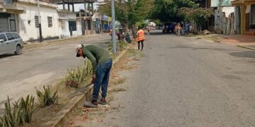Mantenimiento permanente de ornato en calles de Sabana de Mendoza