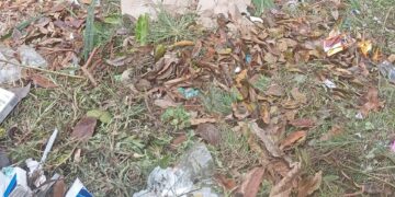 Denuncia Movimiento Ambiental “Abrazados por la Vida”: El río Castán es un vertedero de desechos