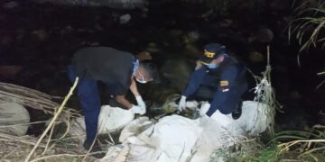 Boconó | Sepultan cadáver de caballo que amenazaba a La Quebrada Segovia