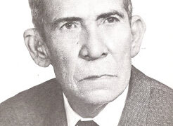 Glosario a Laudelino: libro del profesor Alí Medina Machado / Por Pedro Frailán