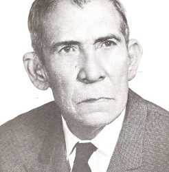 Glosario a Laudelino: libro del profesor Alí Medina Machado / Por Pedro Frailán