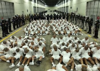 ONG acompaña legalmente los casos de 139 migrantes venezolanos detenidos en El Salvador