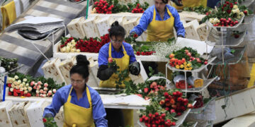 Colombia busca negociar con EE.UU. la disminución o eliminación del arancel del 10 %