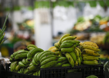 Los aranceles de EE.UU. amenazan las exportaciones agrícolas de Latinoamérica