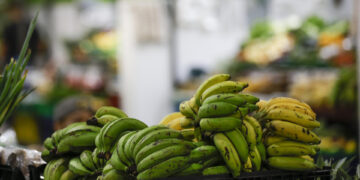 Los aranceles de EE.UU. amenazan las exportaciones agrícolas de Latinoamérica