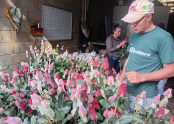 Mérida | Floricultores de Bailadores exploran mercados potenciales en Rusia