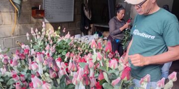 Mérida | Floricultores de Bailadores exploran mercados potenciales en Rusia