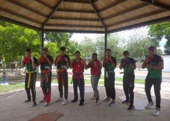Exitoso Primer Seminario de Kickboxing WAKO en el Municipio Miranda