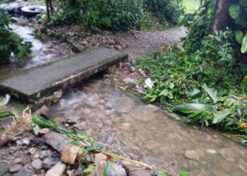 Solicitan atención tras crecida en Valle Verde II y La Elba en Boconó