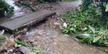 Solicitan atención tras crecida en Valle Verde II y La Elba en Boconó