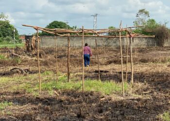 Invasores intentan apoderarse de terrenos listos para construir viviendas en El Vigía