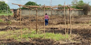 Invasores intentan apoderarse de terrenos listos para construir viviendas en El Vigía