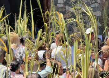 Celebración del Domingo de Ramos en Boconó: Un llamado a la paz y la reconciliación