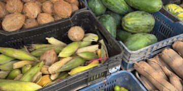 Trujillo | Dulces venezolanos de Semana Santa: conoce los costos de esta tradición