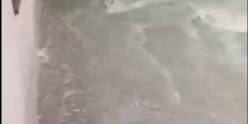 Boconó | Varias casas están inundadas en Miticuncito