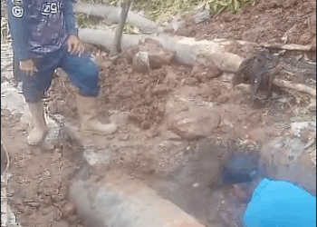 Hidroandes inicia trabajos de reparación para restablecer el servicio de agua potable en La Floresta