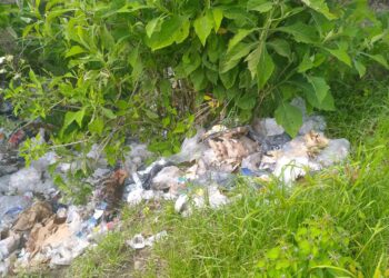 Denuncian botadero de basura en la vía a Niquitao 