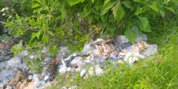 Denuncian botadero de basura en la vía a Niquitao 