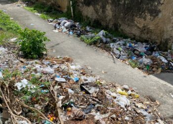 Recolección de basura en Trujillo: un desafío difícil de controlar