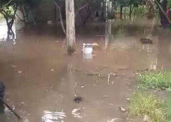 Drenajes tapados en calles de Santa Apolonia provocaron inundaciones de varias viviendas