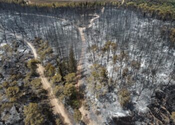 Los bomberos dan por controlado el incendio en los montes cerca de Jerusalén