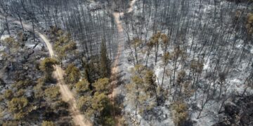 Los bomberos dan por controlado el incendio en los montes cerca de Jerusalén