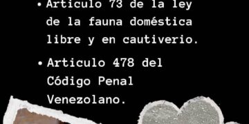 Proteccionistas de Boconó piden investigar violencia contra los animales 